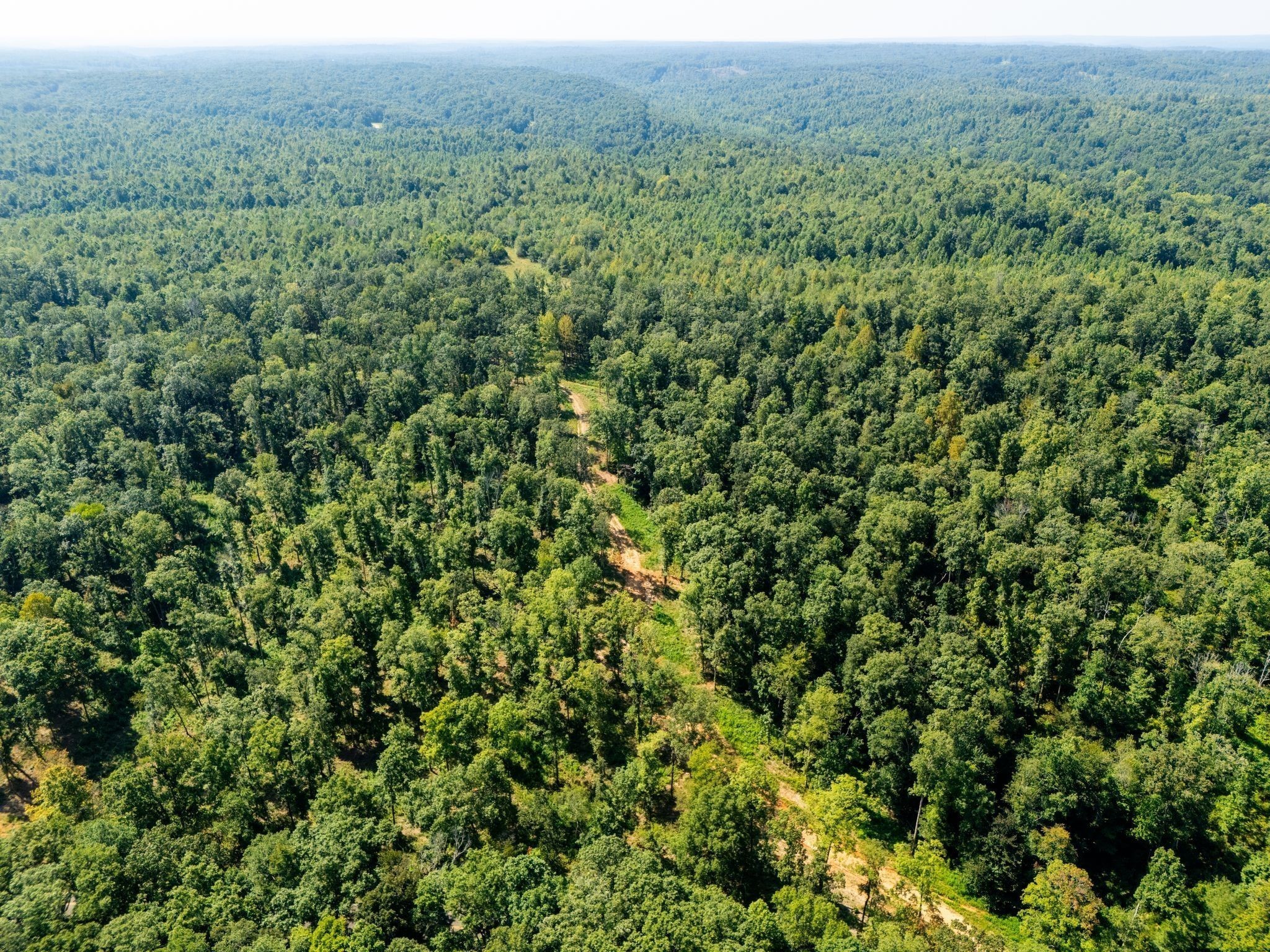 715 Dyer Road Hurricane Mills, TN 37078 - Photo 7 of 36 a view of a lush green forest with trees and houses