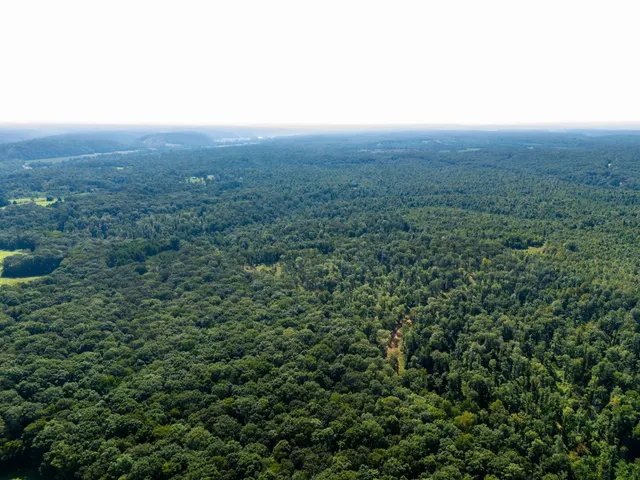 an aerial view of residential house and green space