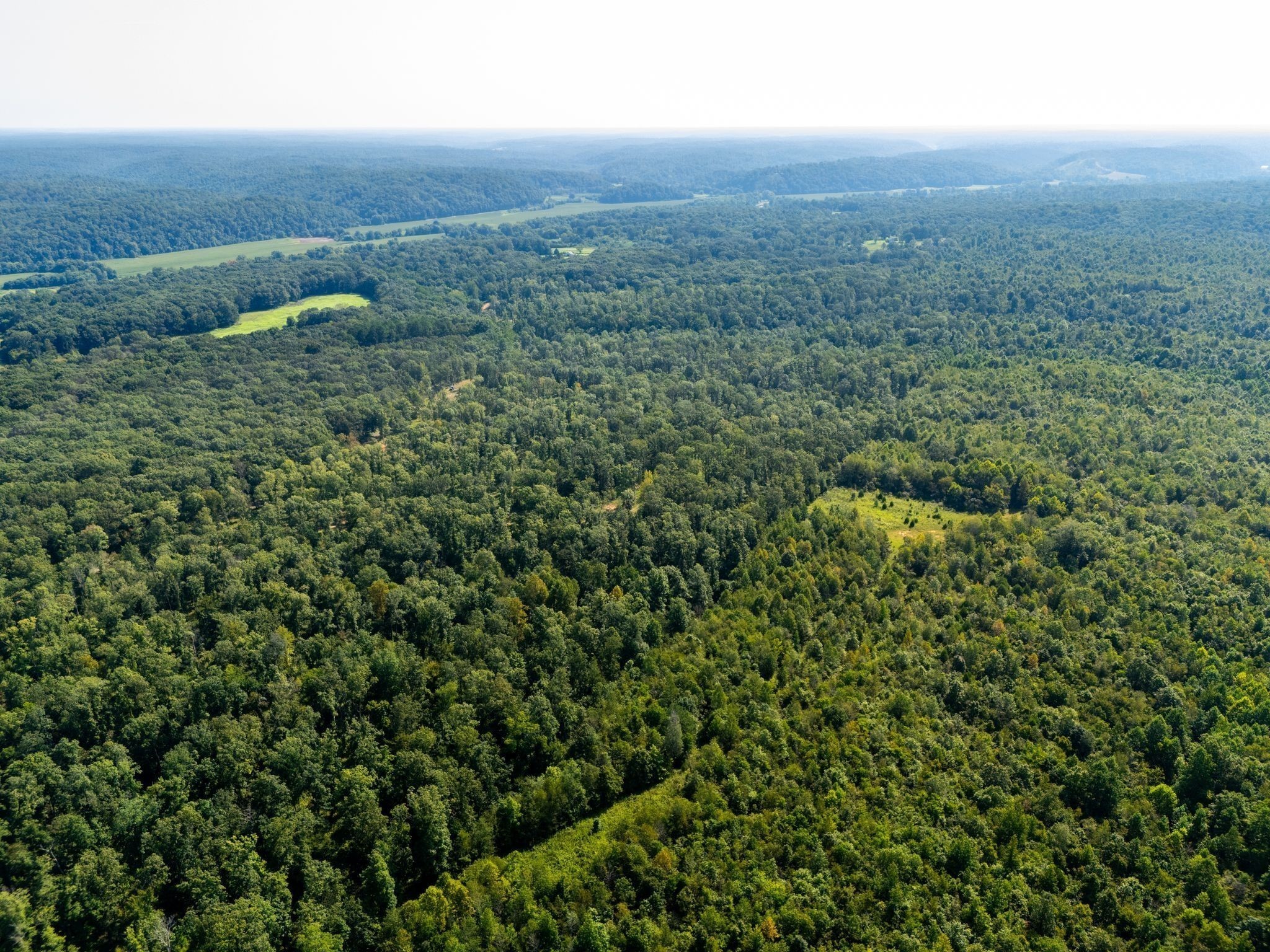715 Dyer Road Hurricane Mills, TN 37078 - Photo 9 of 36 an aerial view of a house with a yard