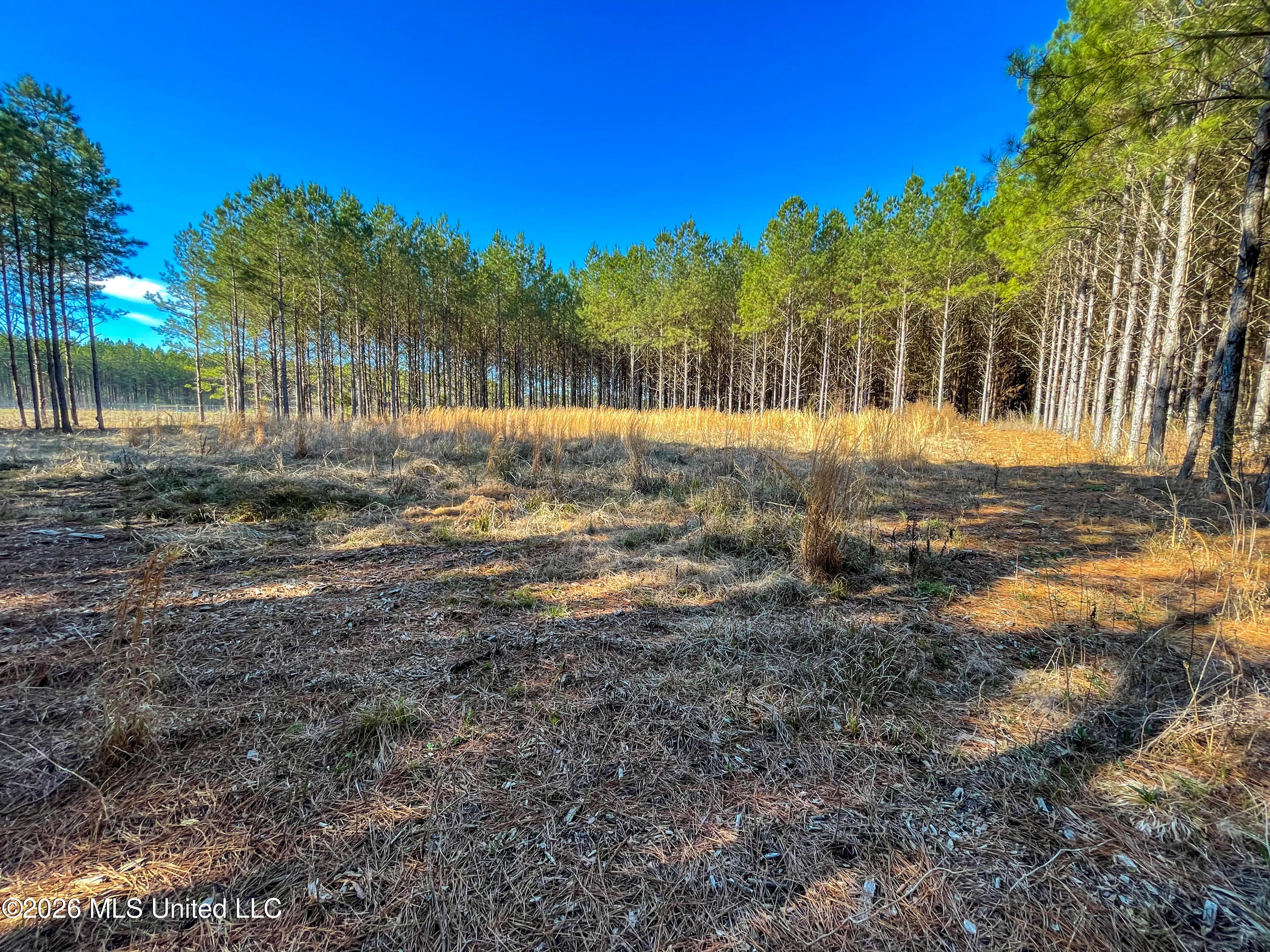 609 Barker Road Morton, MS 39117 - Photo 1 of 14 1