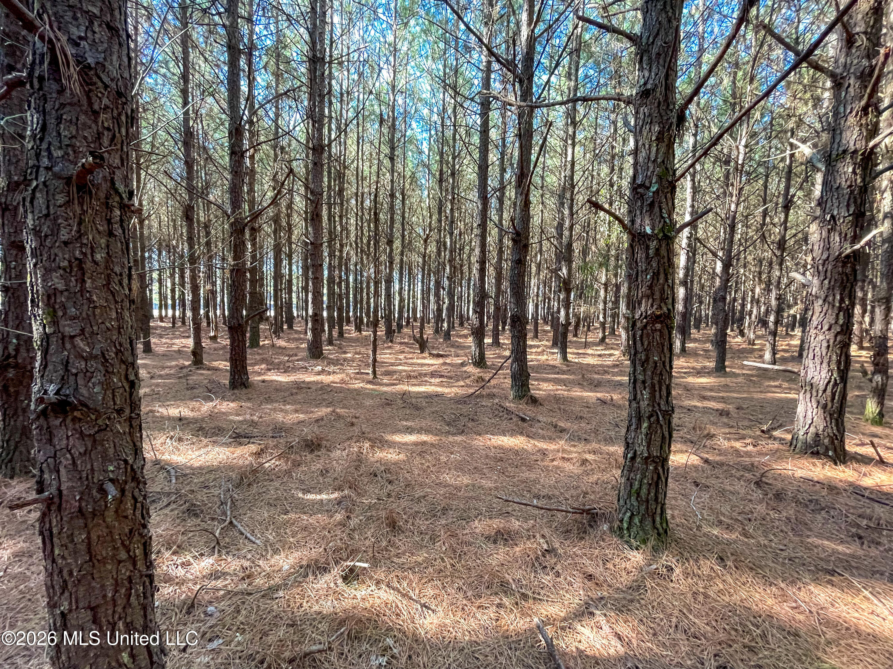 609 Barker Road Morton, MS 39117 - Photo 11 of 14 11