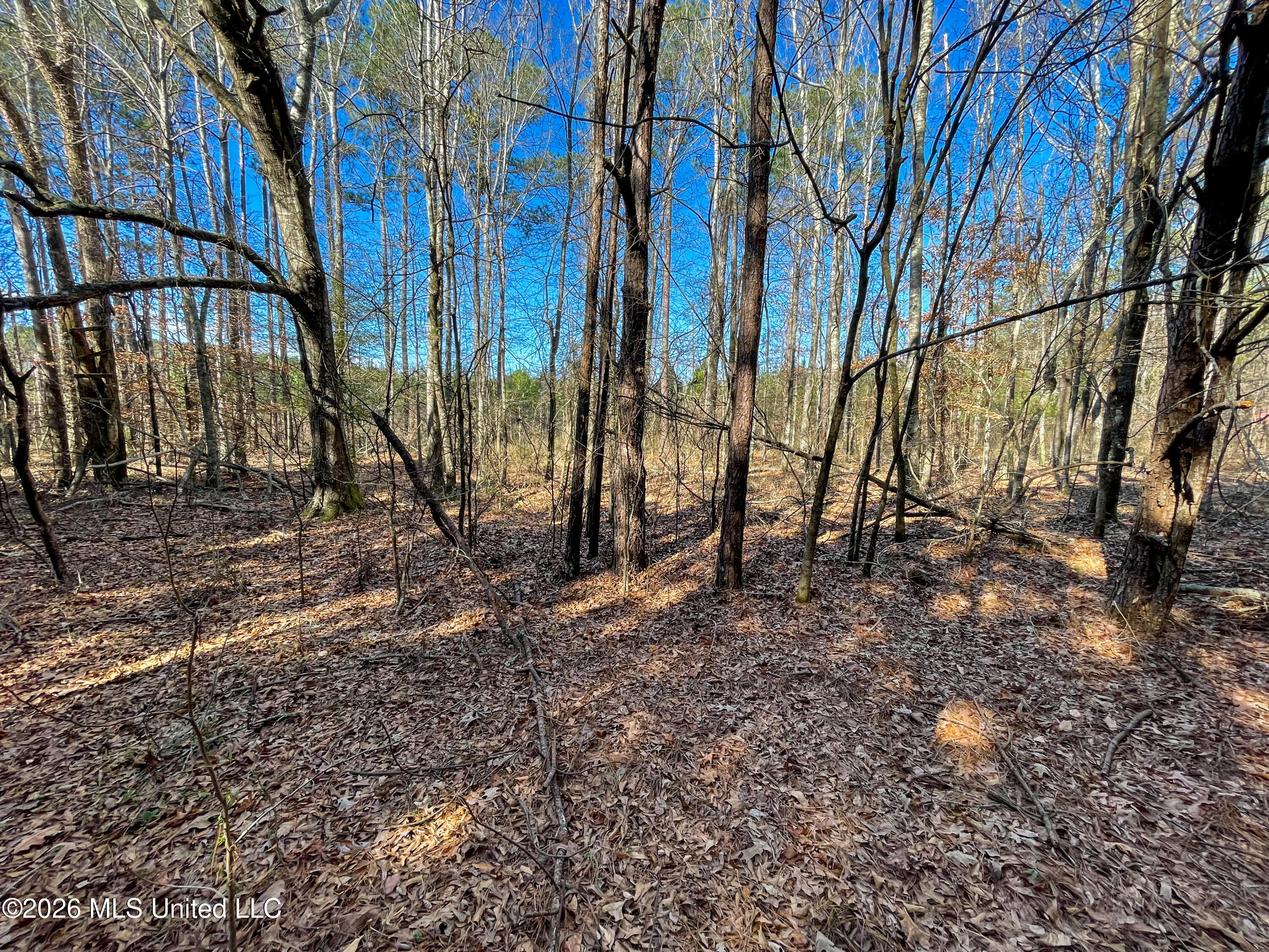 609 Barker Road Morton, MS 39117 - Photo 13 of 14 13