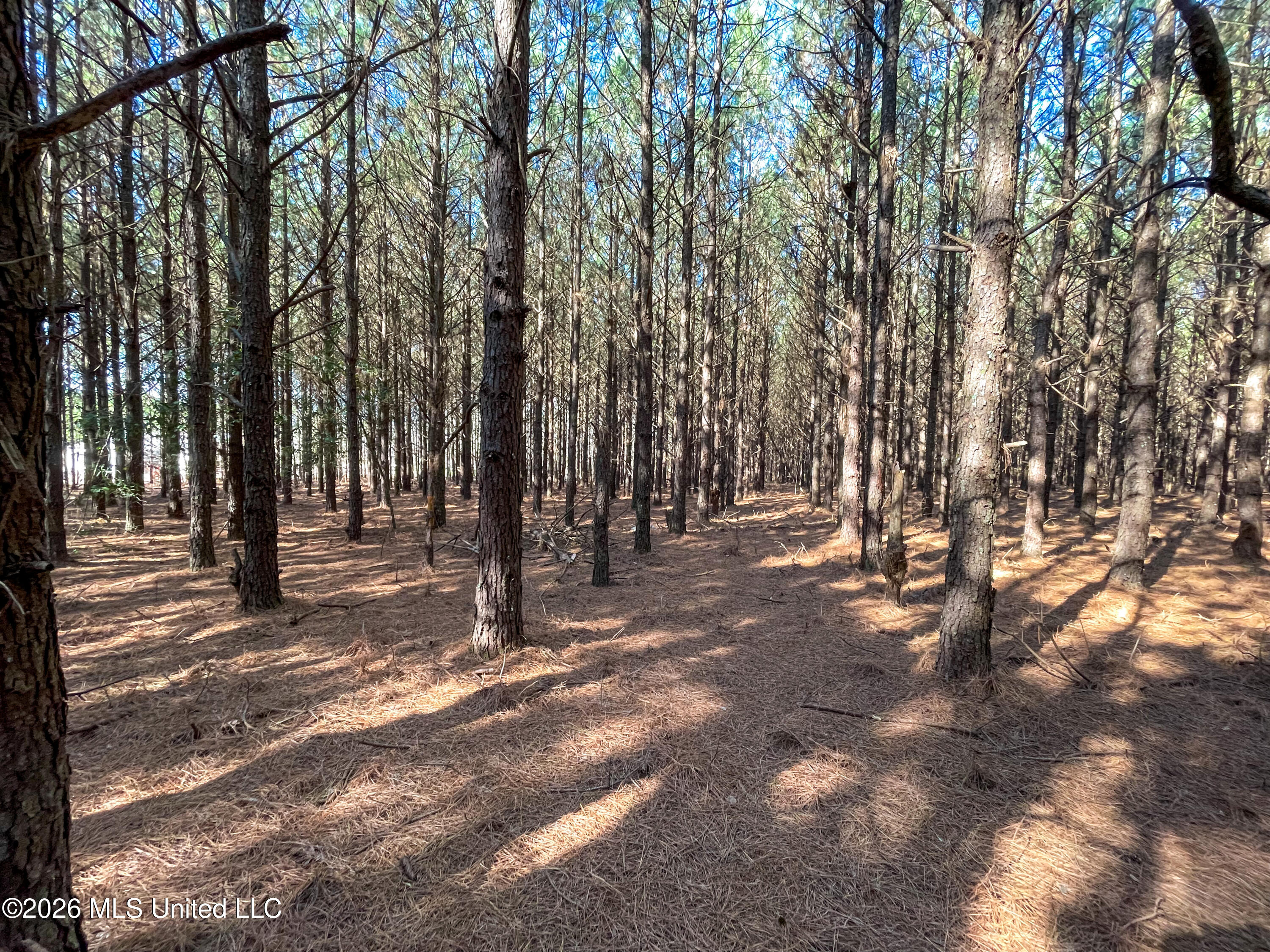 609 Barker Road Morton, MS 39117 - Photo 13 of 17 12