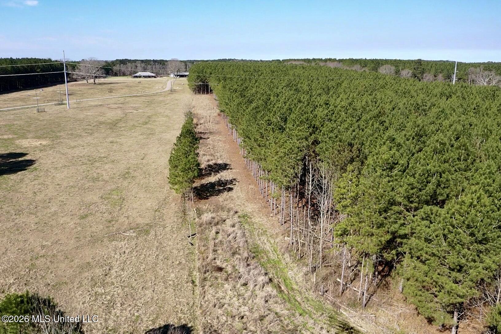 609 Barker Road Morton, MS 39117 - Photo 16 of 17 10