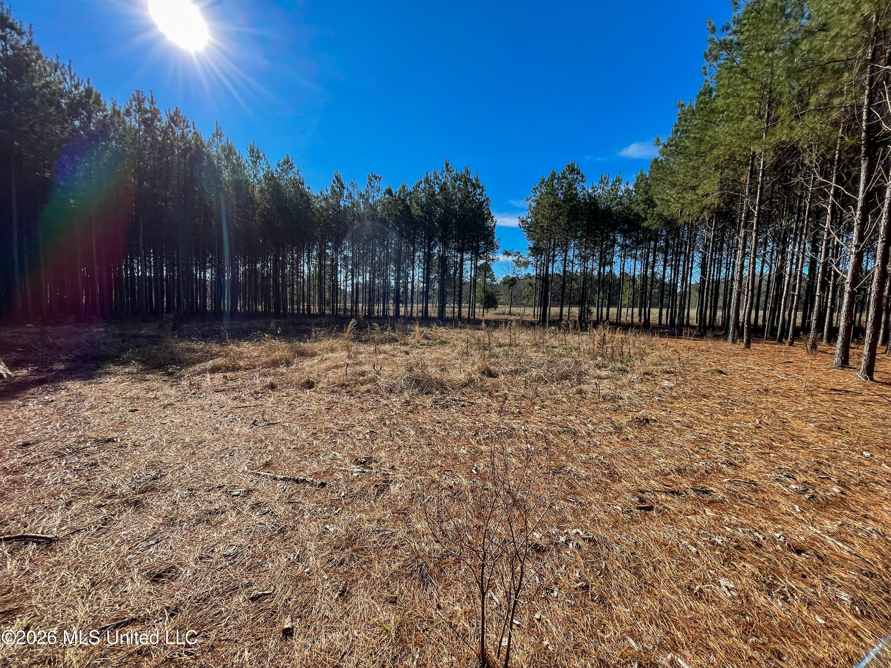 609 Barker Road Morton, MS 39117 - Photo 2 of 14 7