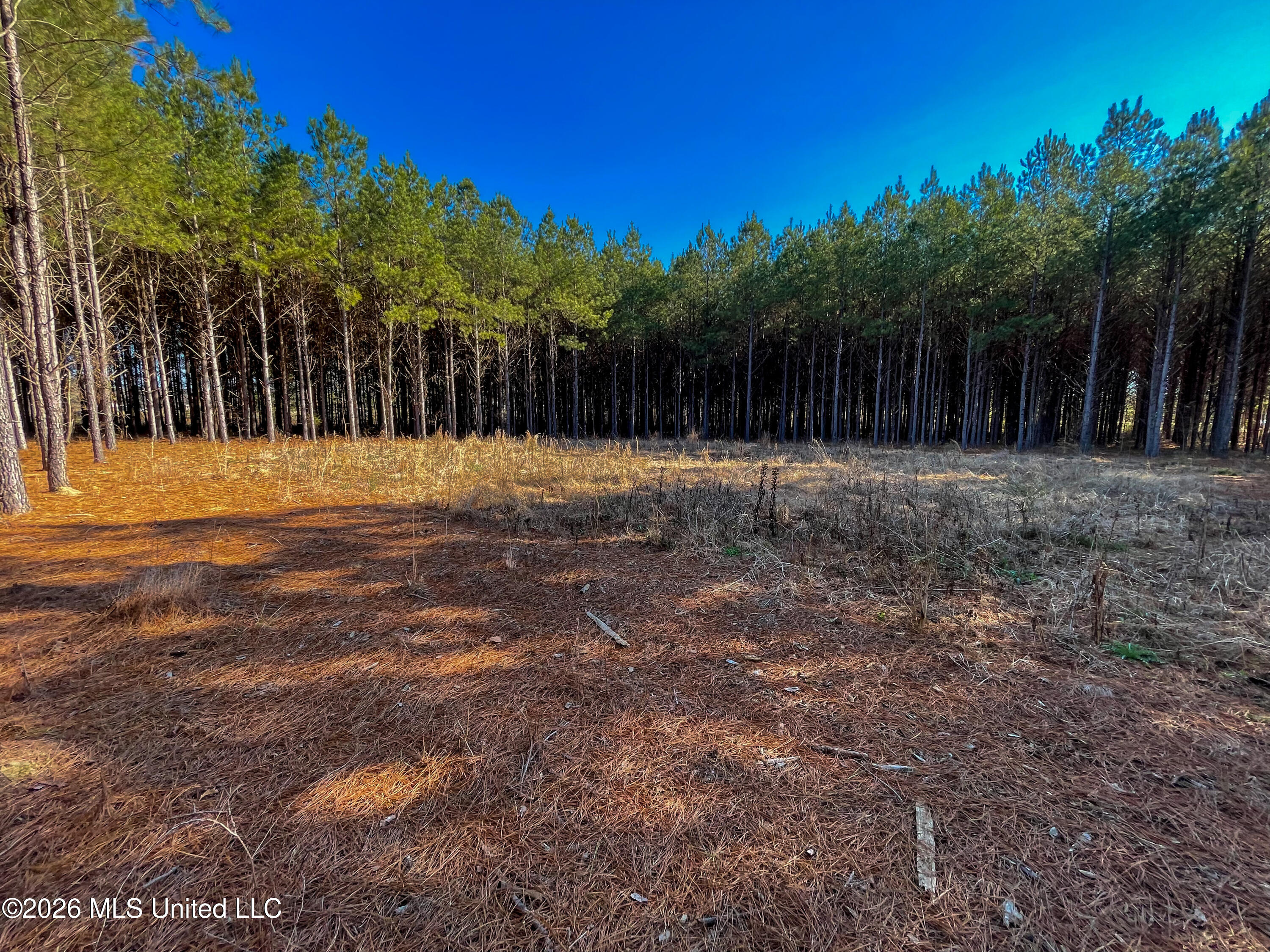 609 Barker Road Morton, MS 39117 - Photo 4 of 17 6