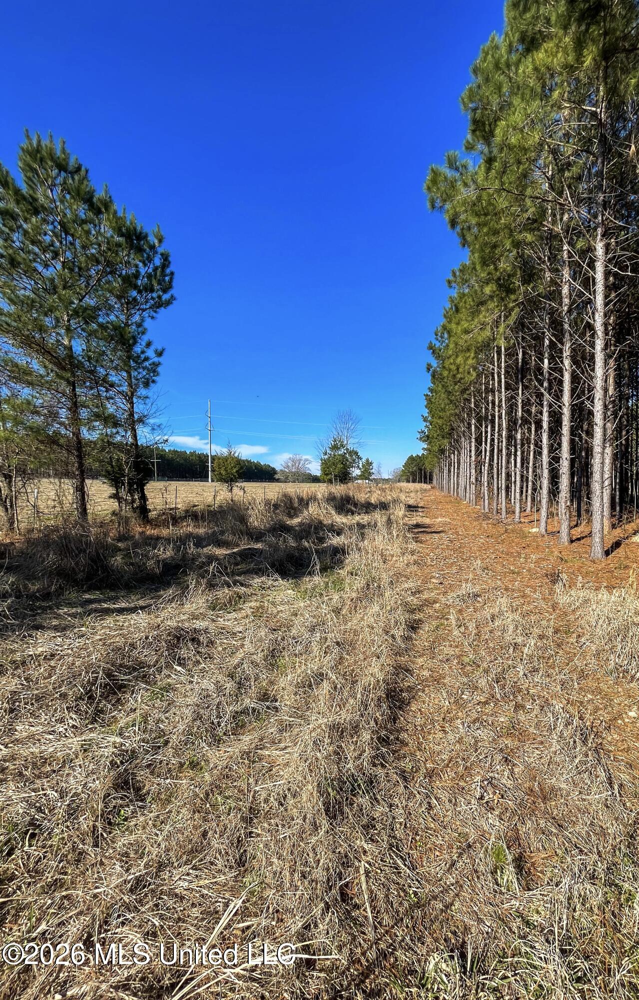 609 Barker Road Morton, MS 39117 - Photo 4 of 14 2