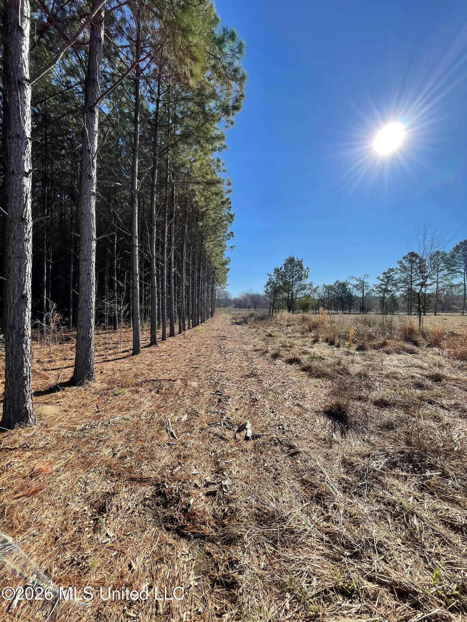 609 Barker Road Morton, MS 39117 - Photo 5 of 14 3