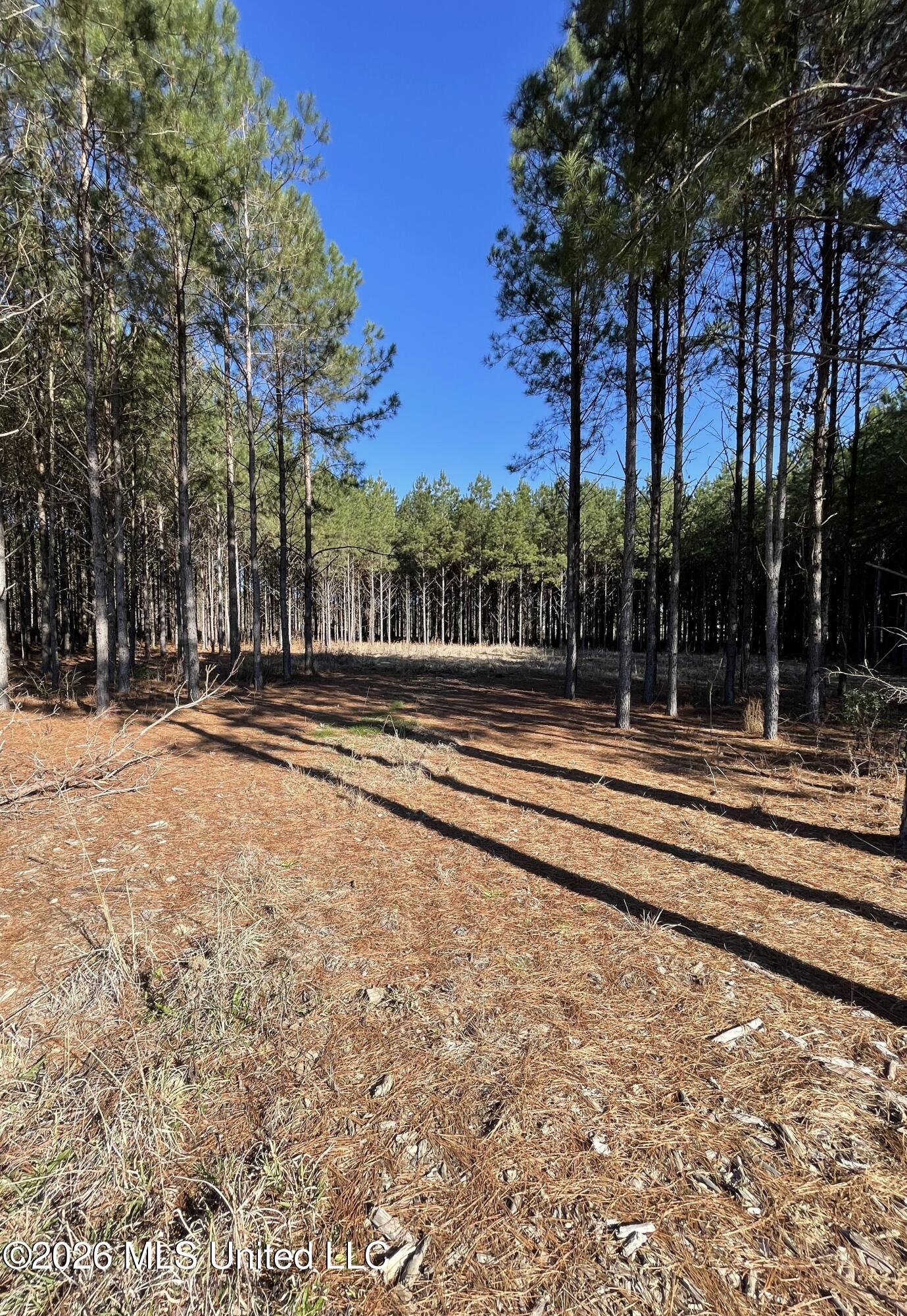 609 Barker Road Morton, MS 39117 - Photo 6 of 14 4