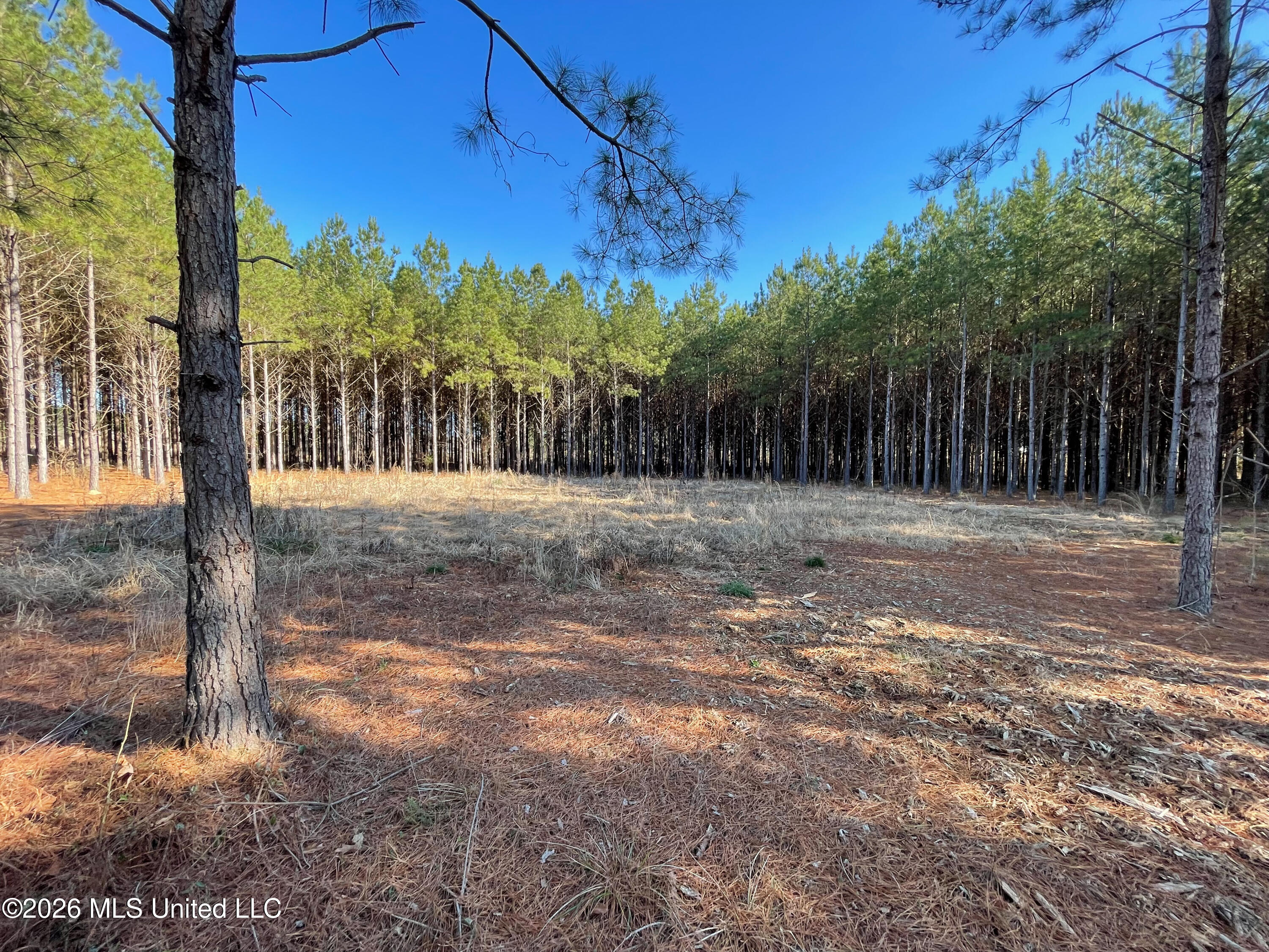 609 Barker Road Morton, MS 39117 - Photo 7 of 14 5