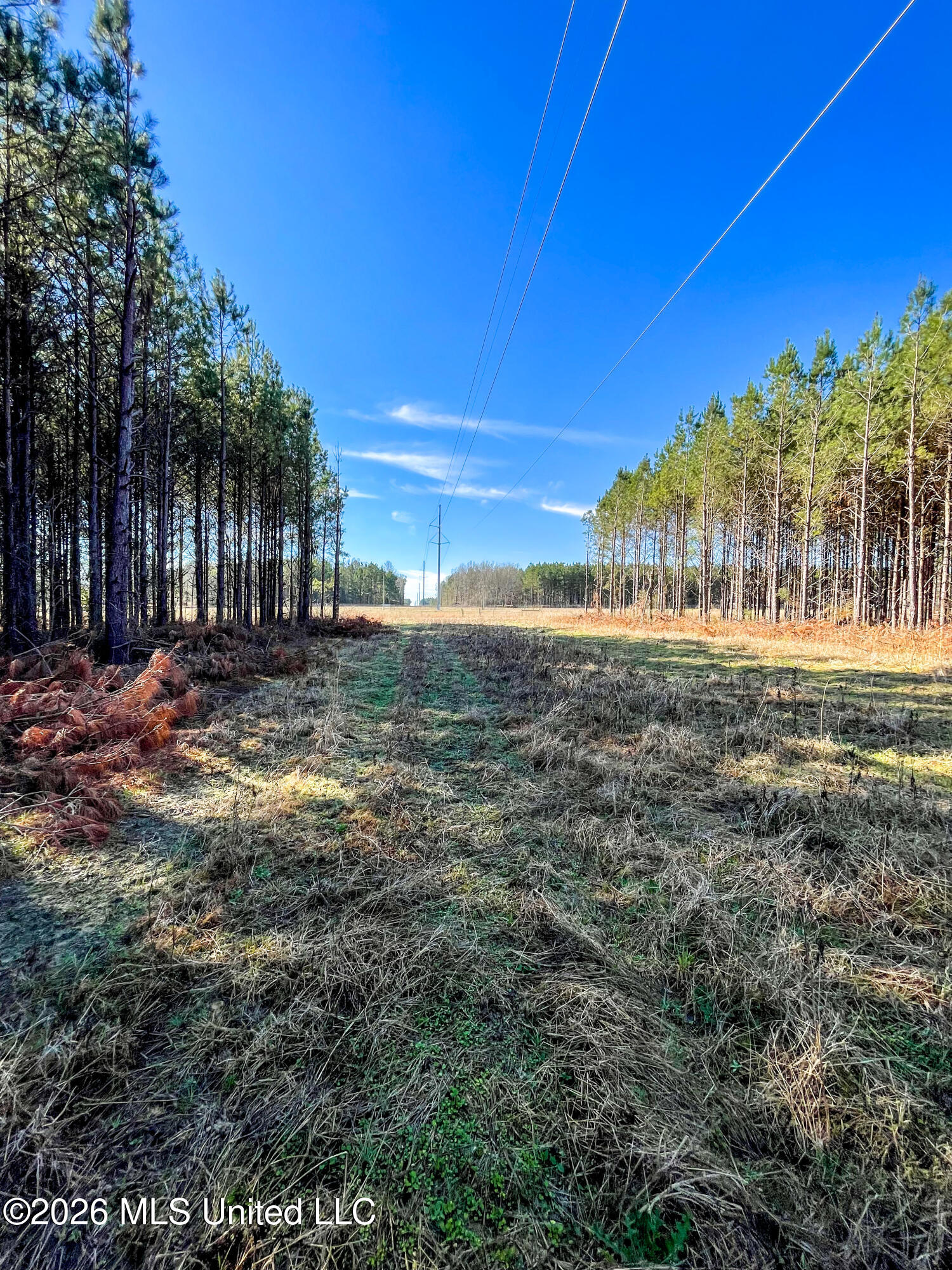 609 Barker Road Morton, MS 39117 - Photo 8 of 14 8