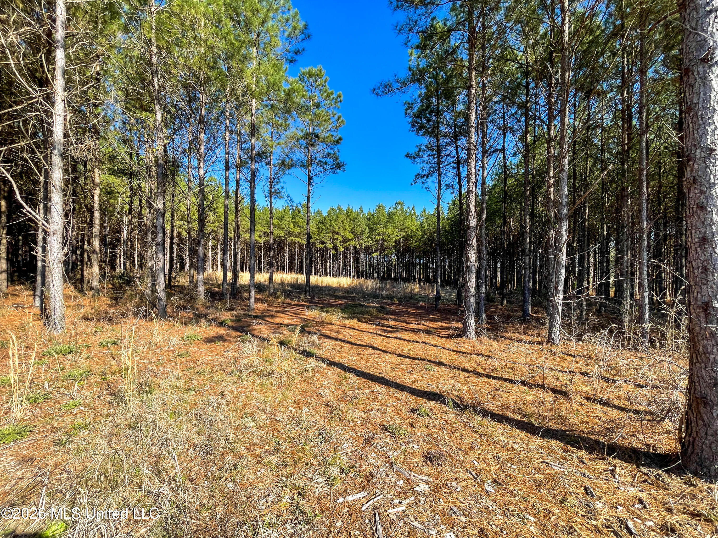 609 Barker Road Morton, MS 39117 - Photo 9 of 14 9