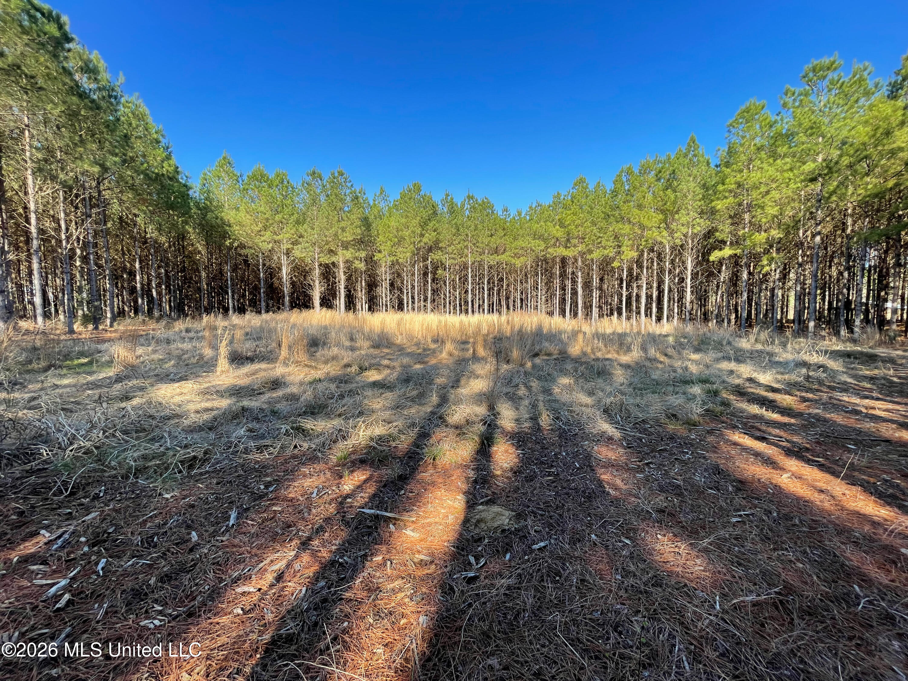 609 Barker Road Morton, MS 39117 - Photo 10 of 14 10