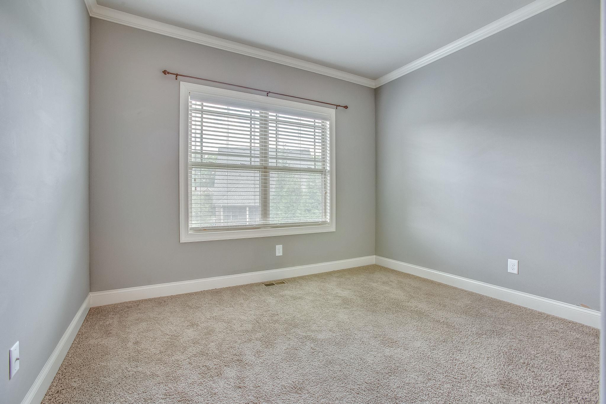 7026 Brindle Ridge Way Spring Hill, TN 37174 - Photo 13 of 23 Bedroom #2 downstairs.