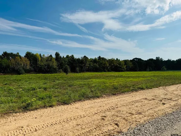 $45,000 | 134 Private Road 5296, Alba, TX 75410