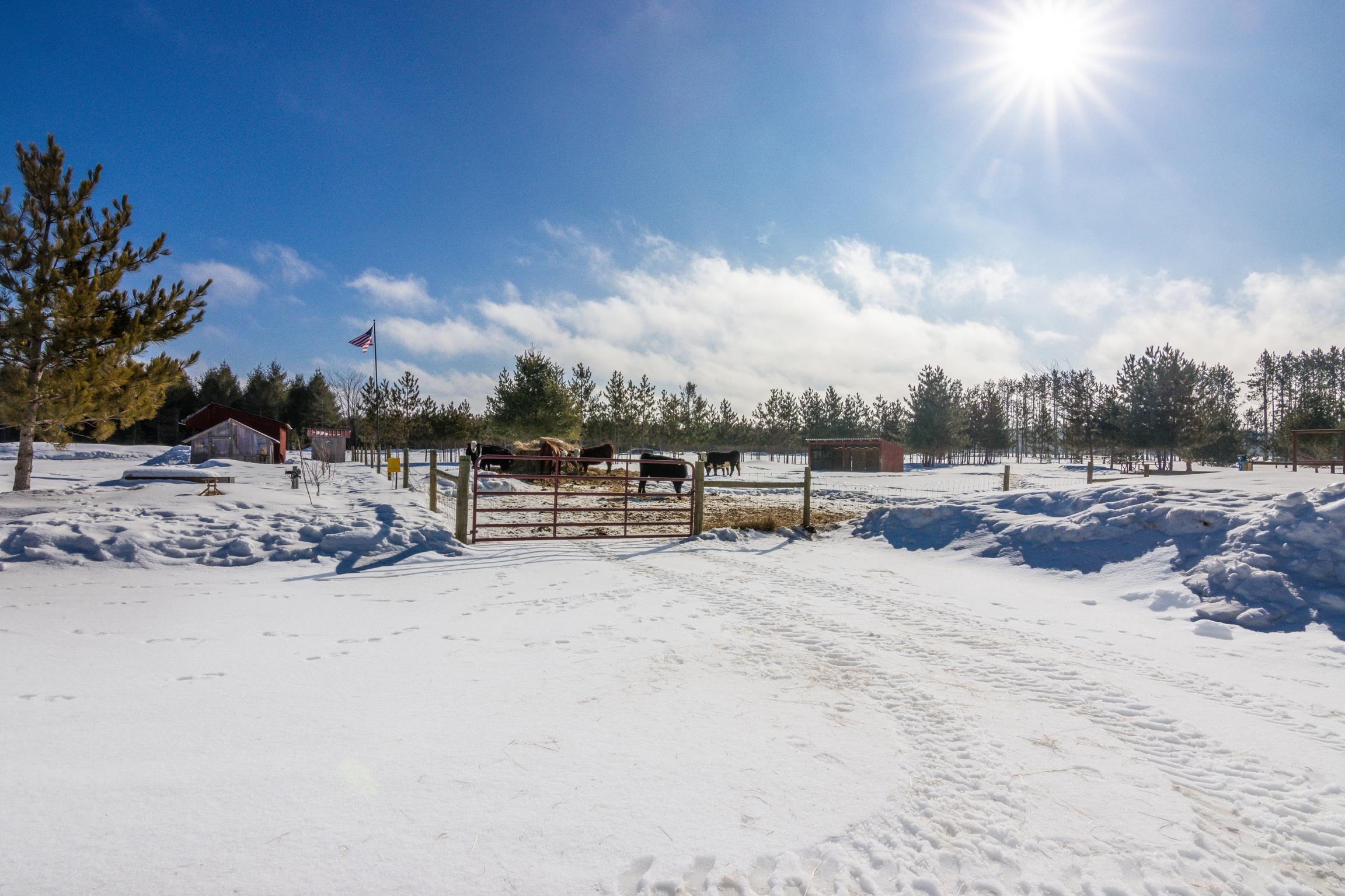 7387 Alba Road Elmira, MI 49730 - Photo 43 of 48