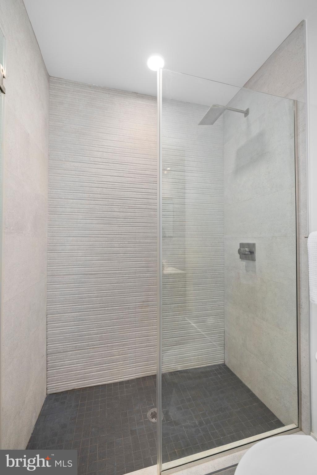 1515 K Street Southeast, Unit 3 Washington, DC 20003 - Photo 12 of 22 a bathroom with a shower