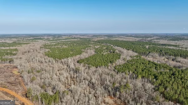 0 Double Bridges Road Madison, GA 30650 - Photo 11 of 20