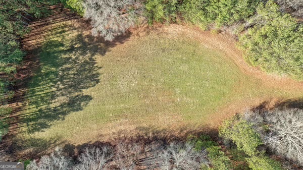 0 Double Bridges Road Madison, GA 30650 - Photo 13 of 20 a view of a yard with plants and trees