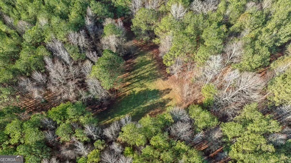 0 Double Bridges Road Madison, GA 30650 - Photo 14 of 20 a view of a forest with a tree
