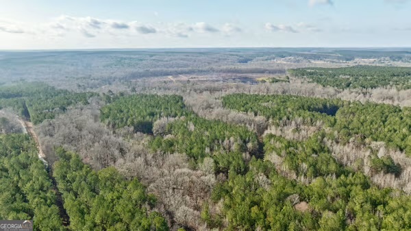 0 Double Bridges Road Madison, GA 30650 - Photo 16 of 20 a view of a field