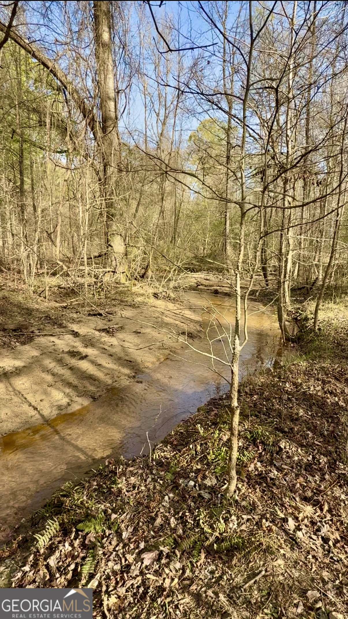 0 Double Bridges Road Madison, GA 30650 - Photo 20 of 20 a view of beach