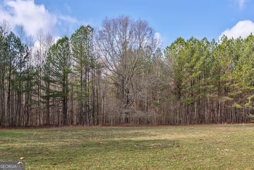 0 Double Bridges Road Madison, GA 30650 - Photo 2 of 20 a view of a field with trees in the background