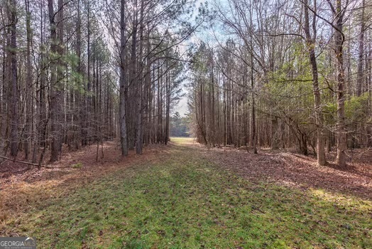 0 Double Bridges Road Madison, GA 30650 - Photo 4 of 20 a backyard of a house with lots of green space