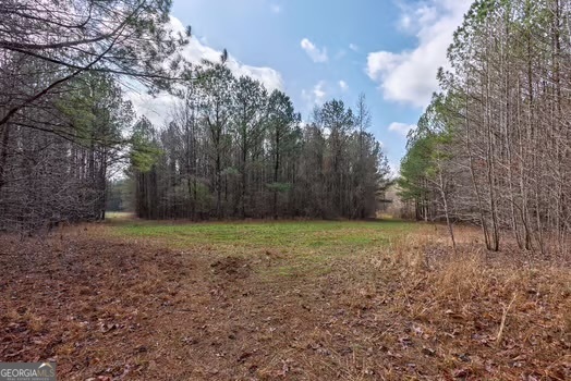 0 Double Bridges Road Madison, GA 30650 - Photo 5 of 20 a view of a backyard with large trees