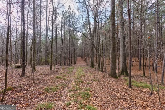 0 Double Bridges Road Madison, GA 30650 - Photo 6 of 20 a view of backyard with green space