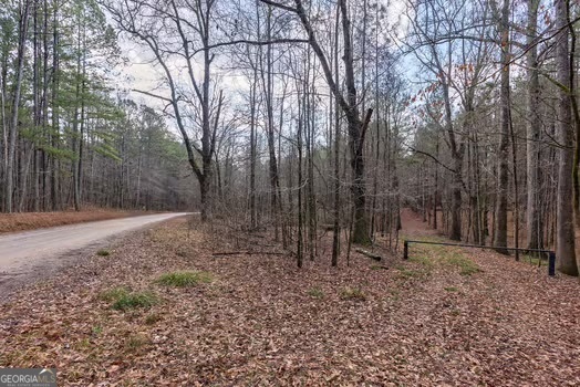 0 Double Bridges Road Madison, GA 30650 - Photo 7 of 20 a backyard of a house with lots of green space