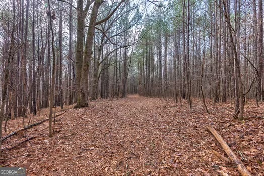 0 Double Bridges Road Madison, GA 30650 - Photo 8 of 20 a backyard of a house with lots of green space