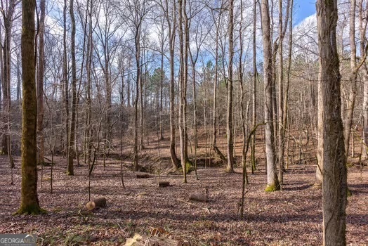 0 Double Bridges Road Madison, GA 30650 - Photo 9 of 20 a backyard of a house with lots of trees