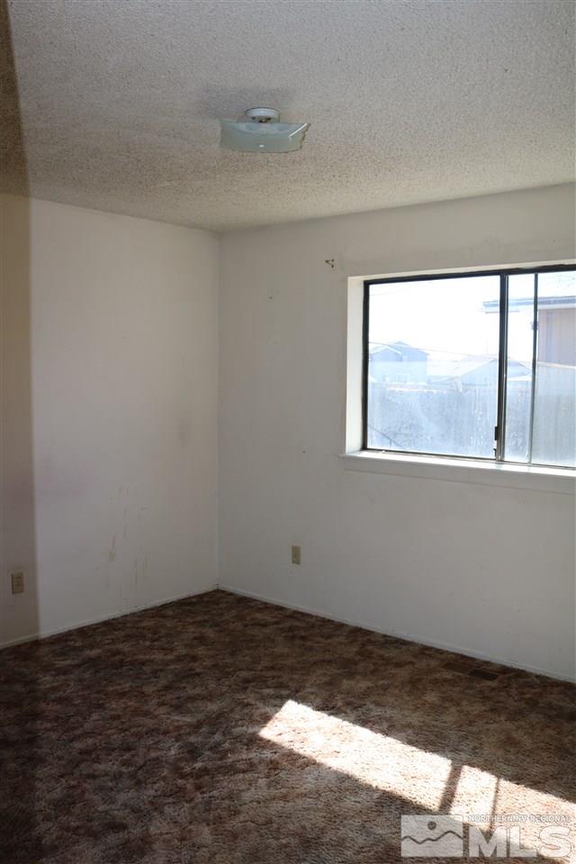 865 Stains Road Fallon, NV 89406 - Photo 17 of 25 Photo 17