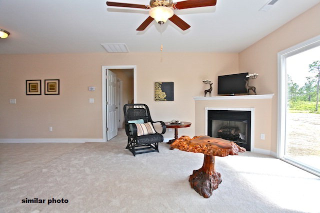 182 Pine Hollow Road Holly Ridge, NC 28445 - Photo 33 of 45 Additional Photo