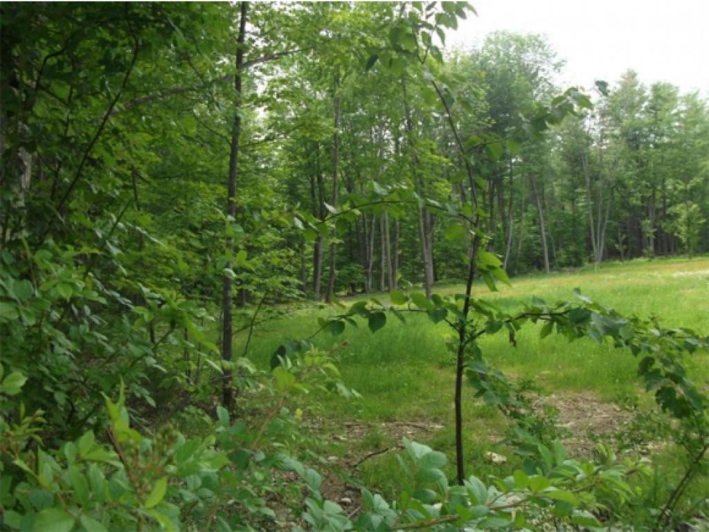 Lot 59 North B N Rochester Lebanon, ME 04027 - Photo 4 of 4 Gallery Image 4