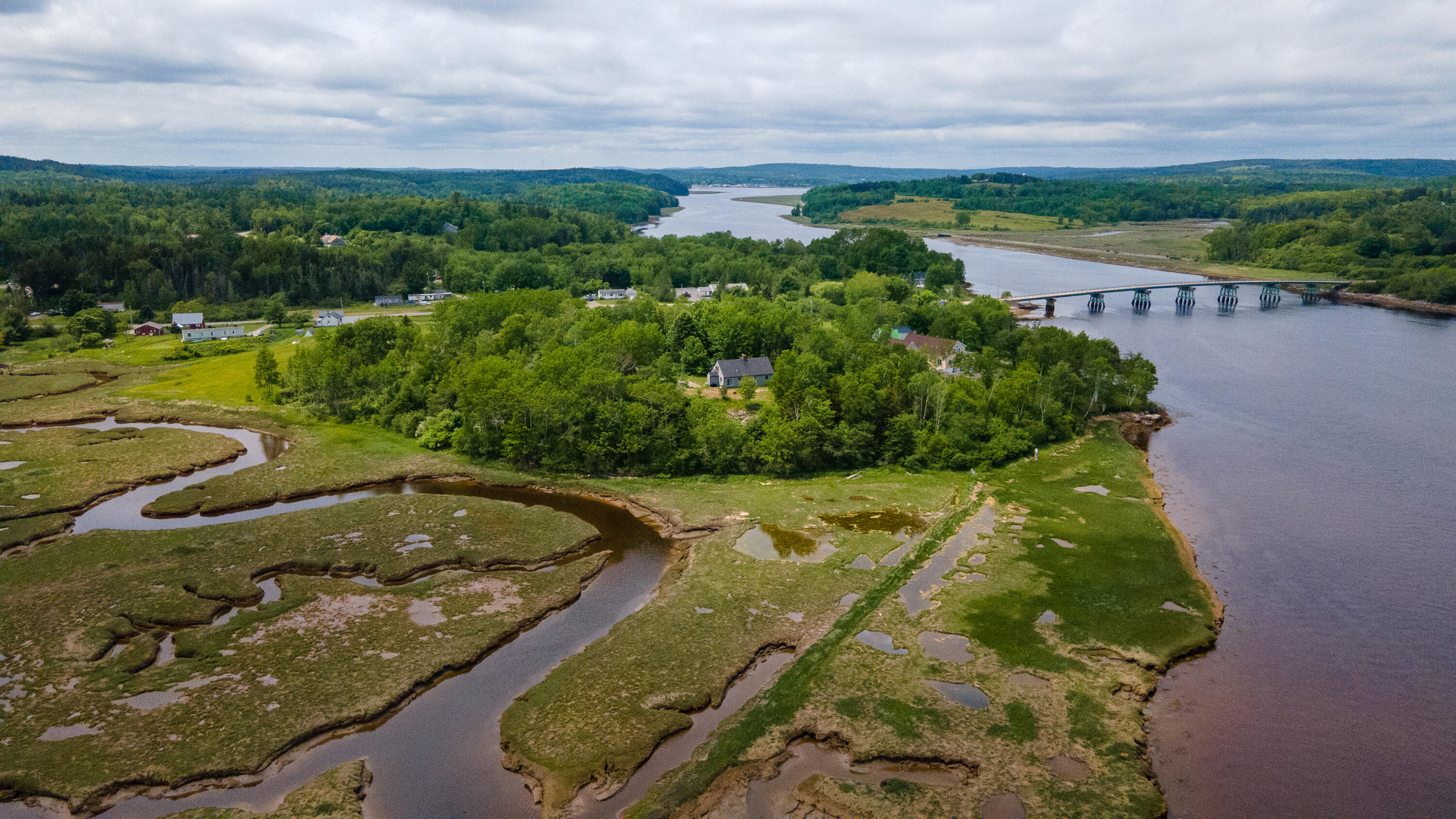 77 Rim Road Machiasport, ME 04655 - Photo 16 of 53 DJI_0602