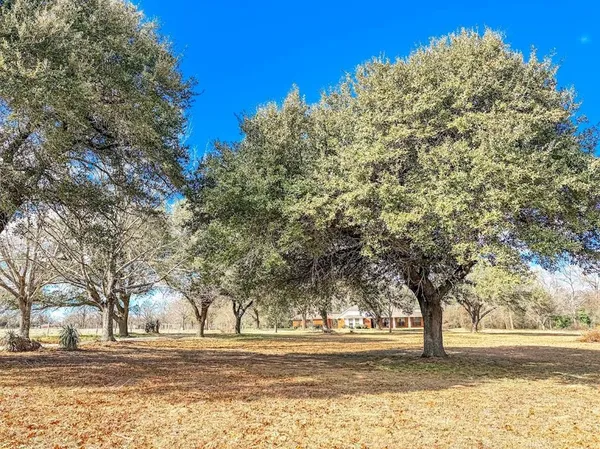 a view of a yard with a trees