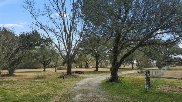 a big yard with lots of trees