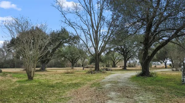 a view of outdoor space with trees