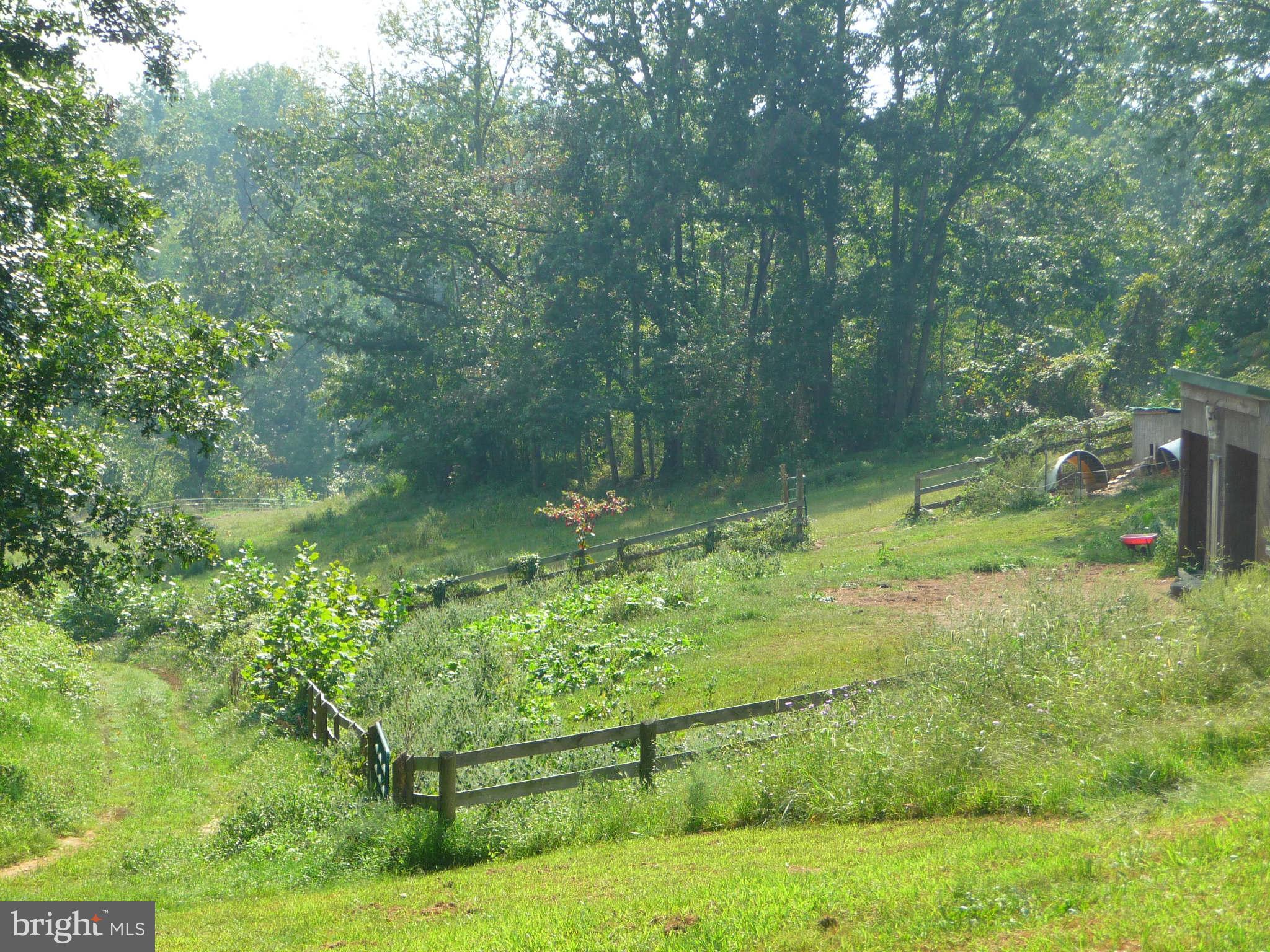 4442 Scotts Road Marshall, VA 20115 - Photo 29 of 30 Exterior (General)