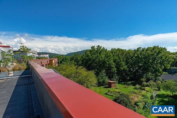 202 B Douglas Avenue, Unit 3B Charlottesville, VA 22902 - Photo 23 of 26