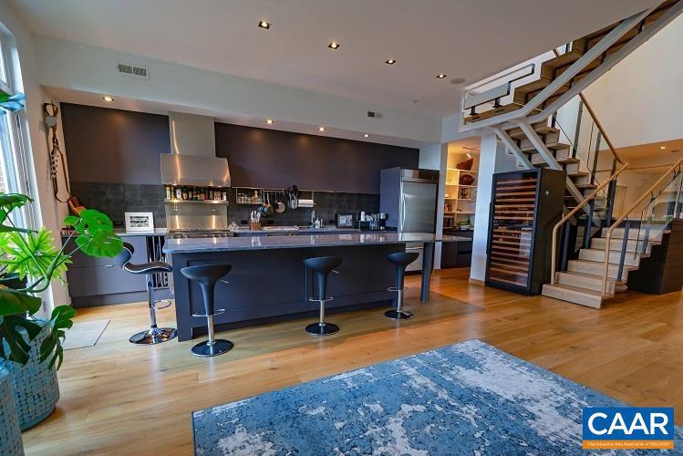 202 B Douglas Avenue, Unit 3B Charlottesville, VA 22902 - Photo 3 of 26