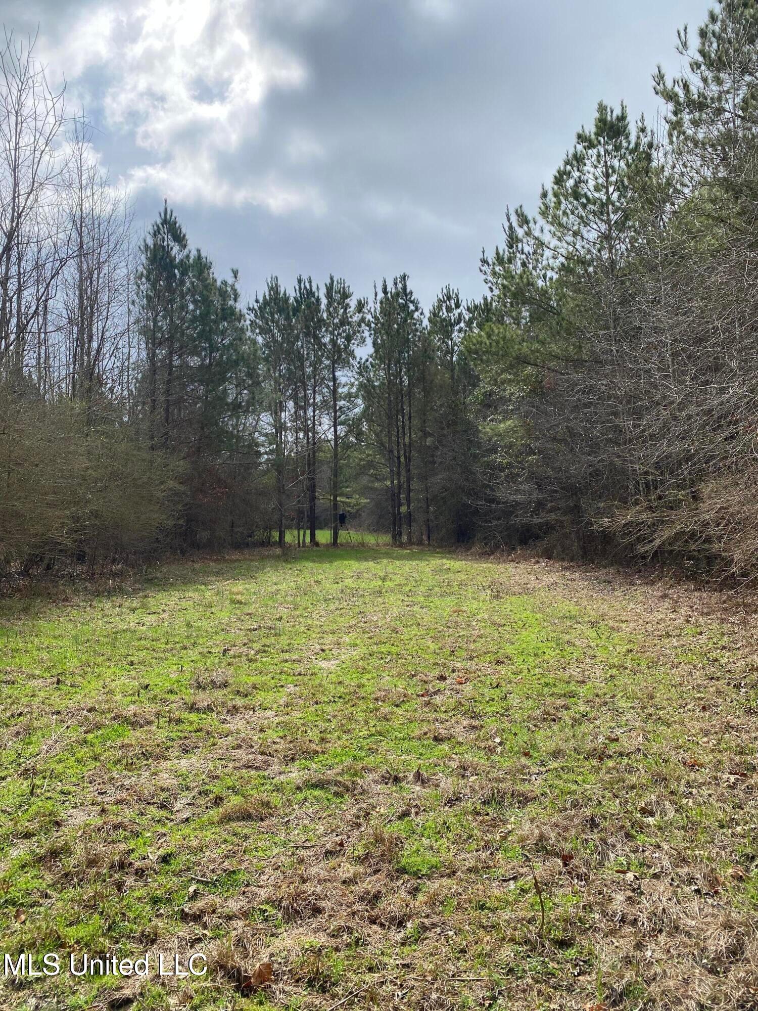 94-acres Everett Road Hickory, MS 39332 - Photo 17 of 43 20250401175848283441000000-16