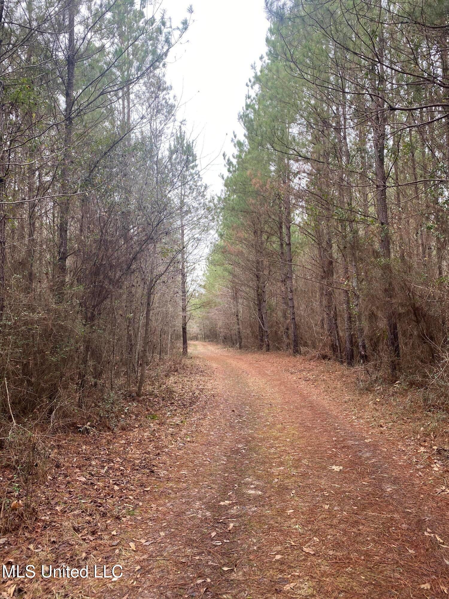 94-acres Everett Road Hickory, MS 39332 - Photo 34 of 43 20250401175953959836000000-34