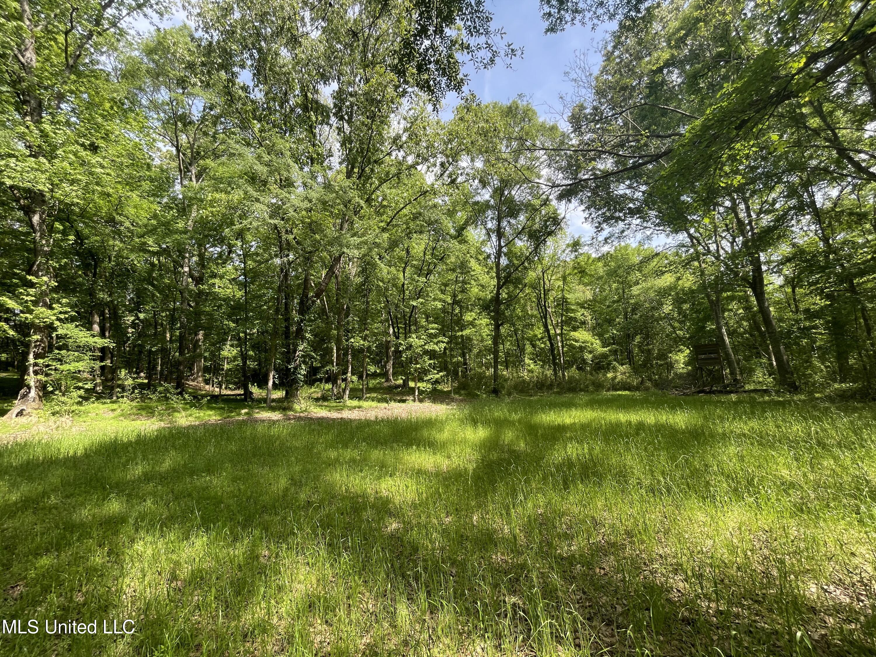 1 Ebenezer-Coxburg Road Lexington, MS 39095 - Photo 54 of 67 IMG_0145