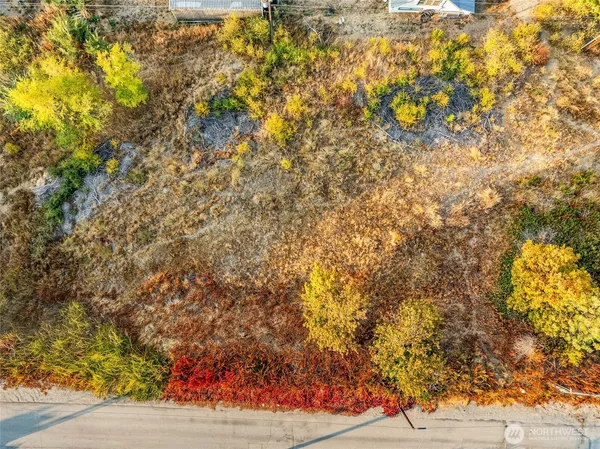 a view of under tree