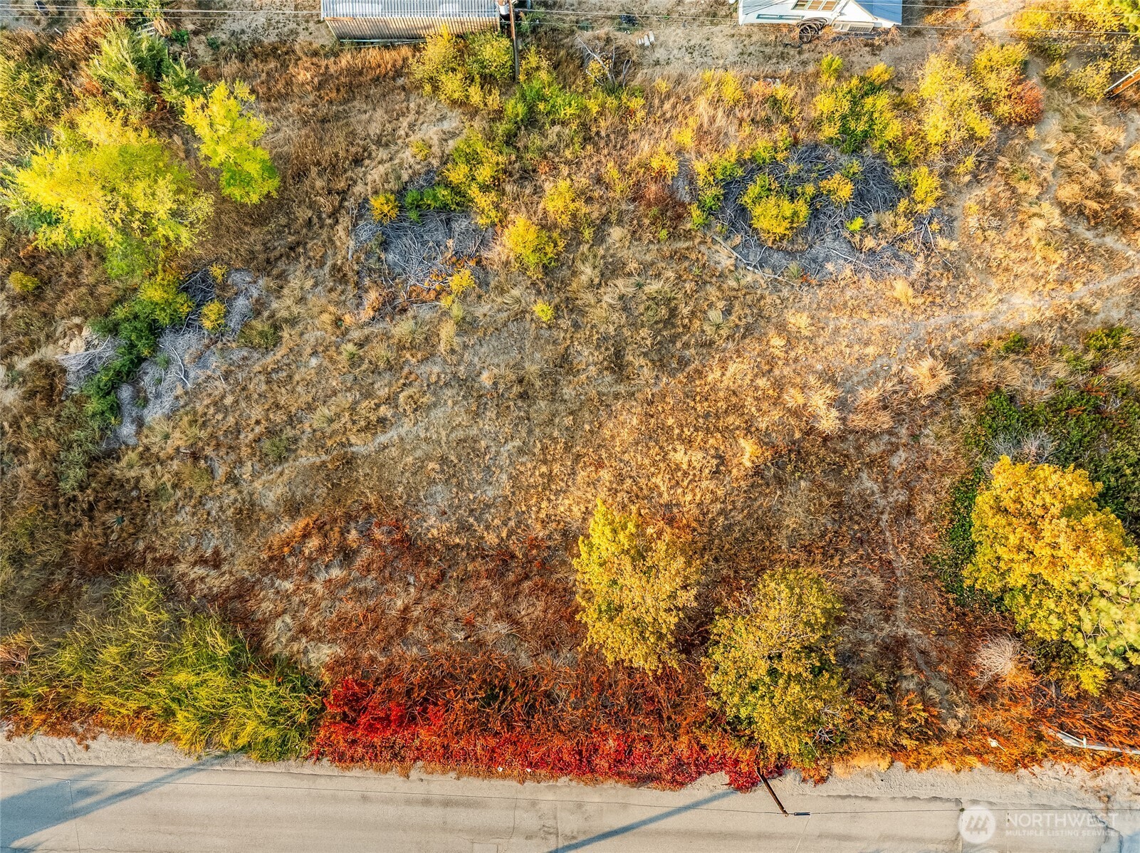 17 High Street Peshastin, WA 98847 - Photo 4 of 11 a view of under tree