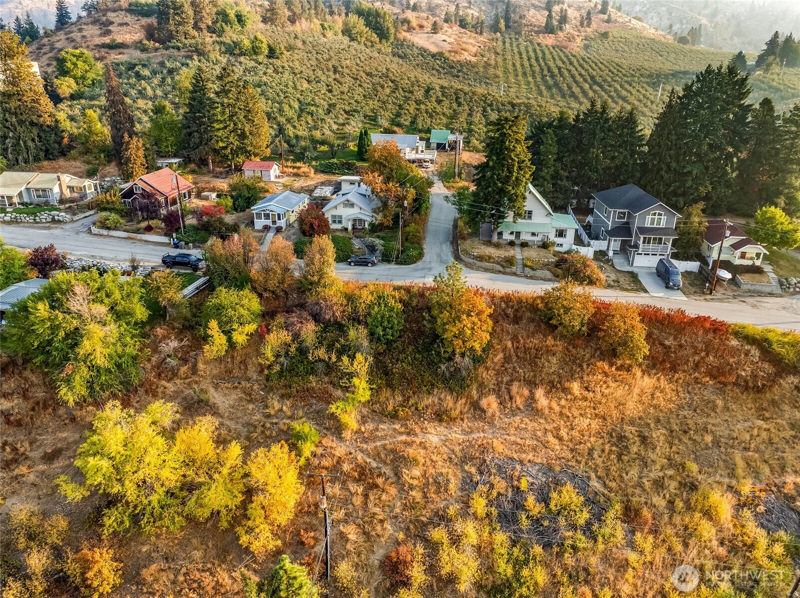 17 High Street Peshastin, WA 98847 - Photo 5 of 11 a view of outdoor space with garden