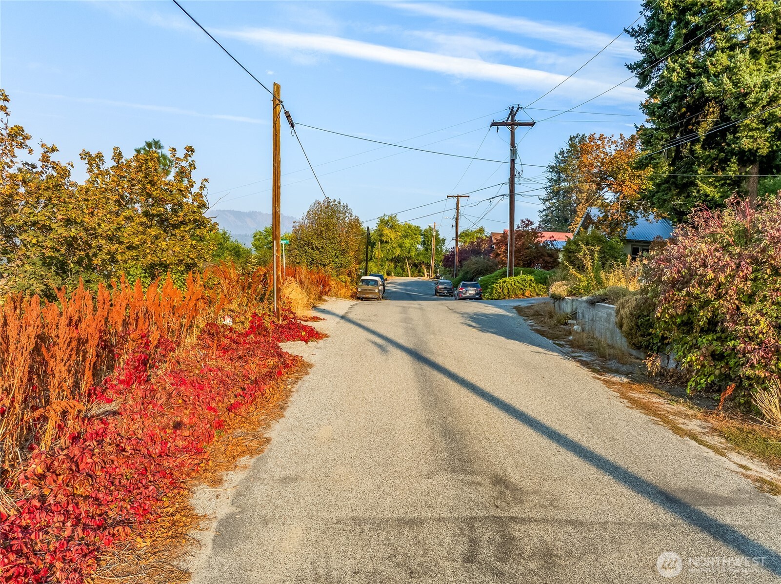 17 High Street Peshastin, WA 98847 - Photo 8 of 11 a view of a street with flower on side of it